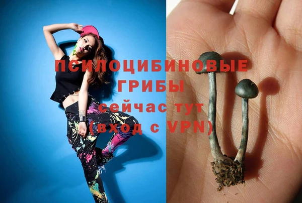 ешки Балахна